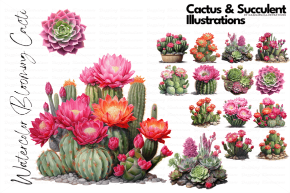 Download Cactus and Succulent Illustrations - Illustrations Collection